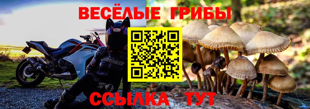 Галлюциногенные грибы мицелий  Псилоцибиновые грибы GOLDEN TEACHER  закладки  Чехов  Вход с VPN 