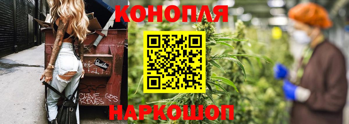 Чехов  Канабис индика  Вход с VPN  Бошки Шишки сатива  Шишки марихуана конопля 